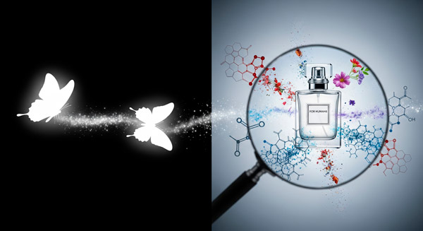 perfumes con feromonas